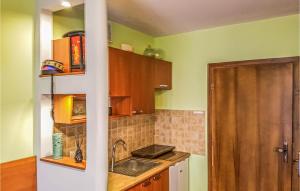 ブワディスワボボにあるNice Apartment In Wladyslawowo With 1 Bedrooms And Wifiのキッチン(木製キャビネット、シンク付)