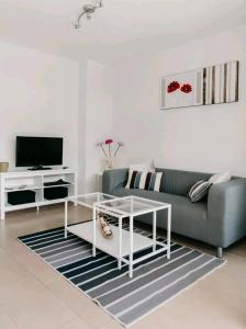 TV a/nebo společenská místnost v ubytování apartment with garden a few minutes from the sea