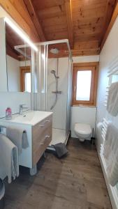 La salle de bains est pourvue d'un lavabo et de toilettes. dans l'établissement Ferienhaus Chalet Blockhaus Bayern, à Stamsried