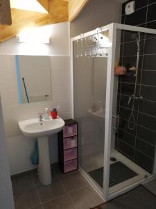 La salle de bains est pourvue d'un lavabo et d'une douche. dans l'établissement Chambre privée dans Happy Home Maison Calme Chez l'habitant, à Brest