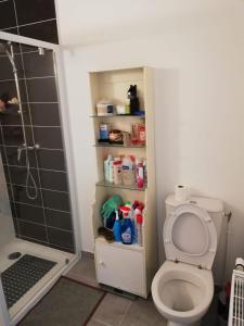 La petite salle de bains est pourvue d'une douche et de toilettes. dans l'établissement Chambre privée dans Happy Home Maison Calme Chez l'habitant, à Brest