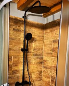 a shower in a bathroom with a wooden wall at Tiny Apartment in Apuseni Mountains 