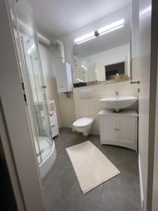 uma casa de banho com um lavatório, um WC e um chuveiro em Apartment mit schönem Ausblick em Lüdenscheid