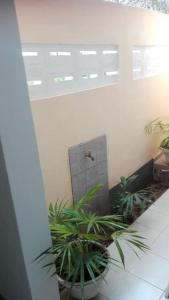 una habitación con plantas y una puerta en un edificio en joli studio meuble 25 euro par nuit., en Lomé