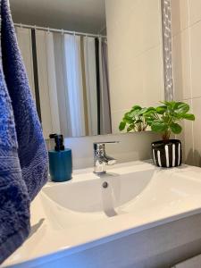 a bathroom sink with a plant and a mirror at Costa de Montemar in Concón
