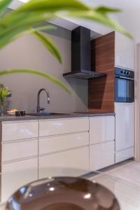 Kuchyň nebo kuchyňský kout v ubytování AN&VI Luxury apartments by stylish stays