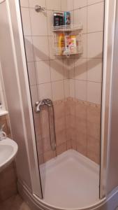 a shower with a glass door in a bathroom at Kuća za odmor VITICA s vanjskim kaminom in Kupres
