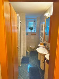 ein Bad mit einem Waschbecken und einem WC in der Unterkunft Sternenhimmel Gamlitz FeWo 3 SZ in Gamlitz