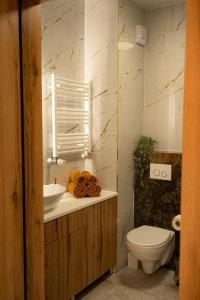 een badkamer met een toilet en een wastafel bij Apartament Sobieskiego in Świecie