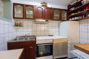 Kuchyňa alebo kuchynka v ubytovaní Apartments Opacak Selce