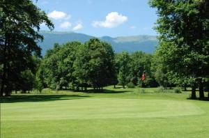 un parcours de golf avec des arbres et un drapeau rouge dans l'établissement Hote du Lion, à Saint-Genis-Pouilly