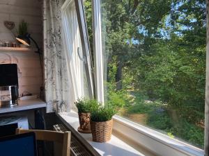 a window with two potted plants on a window sill at Inspiration in Schwanewede