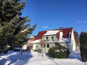 Amandas Nest im Winter