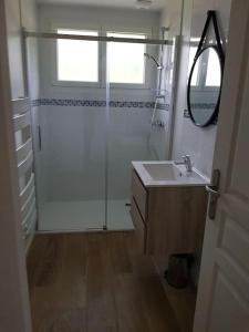 uma casa de banho com um chuveiro, um lavatório e um espelho. em Le clos du rhododendron proximité Dieppe 