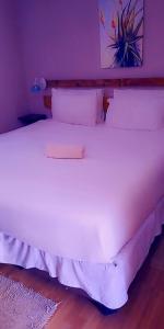 uma grande cama branca num quarto com paredes roxas em Chiloto Guest House em Kasane
