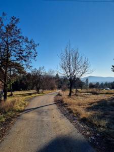 Paesaggio naturale nelle vicinanze dello chalet