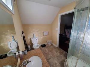 a bathroom with two toilets and a shower at Weyanoke in Petersburg