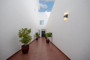杜拉特阿拉尔Indium Villas Durrat Al Arus for families only的相册照片