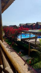 vista para uma piscina com flores vermelhas num resort em Chaleville Coqueiro 3202 - Luis Correia Piauí em Luís Correia