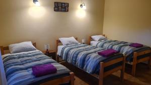 2 camas en una habitación con almohadas moradas en Hostal Km Zero El Huertillo, en San Pedro de Atacama