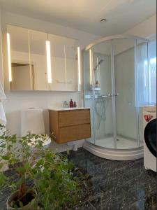 a bathroom with a shower with a sink and a wooden cabinet at Luxurious villa with free parking in Gothenburg