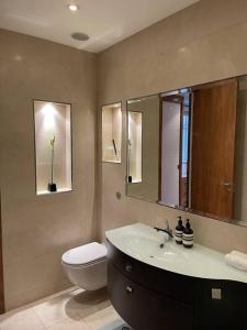 a bathroom with a sink and a toilet and a mirror at Designer 2 bedroom Pimlico in London