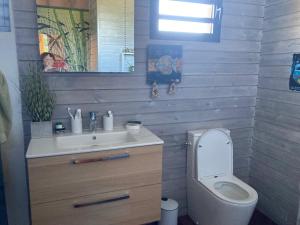 Łazienka z białą toaletą i umywalką w obiekcie Papaye Lodge sur les flancs des Monts Caraïbes w mieście Vieux-Fort