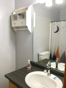 a bathroom with a sink and a mirror at Blue Beary Delight Newly renovated Near Everything in Sevierville
