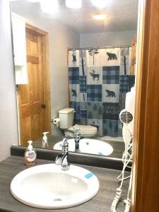 Blue Beary Delight Newly renovated Near Everything في سيفيرفيل: حمام مع حوض ومرحاض ودش