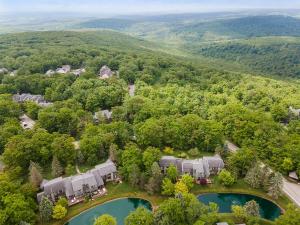 una vista aérea de una casa en el bosque con un lago en Charming Getaway l recently renovated l Hidden Valley l 4BR+3Bath l Hot Tub en Somerset