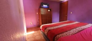 um quarto com paredes roxas e uma cama com um cobertor vermelho em Hotel Bosques em Zacatlán
