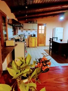 聖卡洛斯－德巴里洛切的住宿－Cuatro Cerros Hostel，厨房配有木桌上的盆栽植物