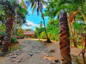 un chemin au milieu d'une forêt plantée de palmiers dans l'établissement Hotel Jasayma dentro del Parque Tayrona, à El Zaino