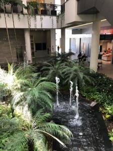 a courtyard with a fountain in a building with palm trees at Monte Fuji ~ GRU 39m2 in Guarulhos