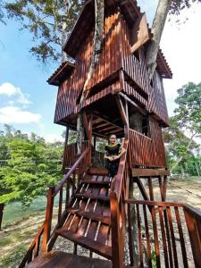 Un uomo è seduto in una casa sull'albero di Ovai Hidden Paradise Resort a Papar