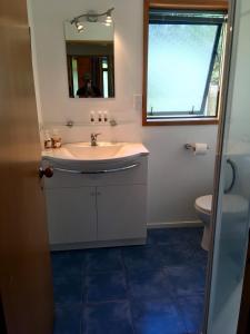 a bathroom with a sink and a mirror and a toilet at Off the Beaten Track B&B in Canvastown