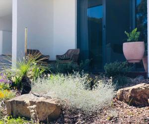 Lorne Surf Apartments外面的花园