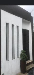 a white building with four windows and a potted plant at Cuartos kukulcan in Valladolid
