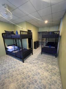 מיטה או מיטות קומותיים בחדר ב-Escape Divers Hostel