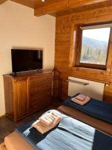 a bedroom with a bed and a flat screen tv at Chata na přehradě s vlastním wellness in Horní Bečva