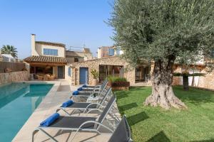 una fila de tumbonas junto a un árbol junto a una piscina en Can Font -Costitx-, en Costitx