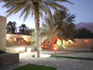 a pair of palm trees in a yard at night at The Wadi Inn in Al Ḩamrāʼ