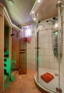 a bathroom with a shower with a glass door at Ferienwohnung Christina in Mauth