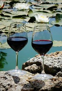 dois copos de vinho sentados em rochas perto de um corpo de água em Agriturismo Montalbano em Cartabubbo