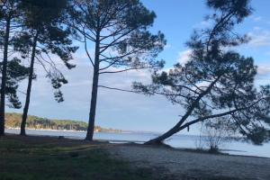 Zdjęcie z galerii obiektu Maison des Bois - T5 - 6 personnes w mieście Biscarrosse