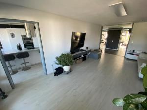 an empty living room with a potted plant in it at Wohnung Messe, Airport, Outlet Metzingen in Steinenbronn