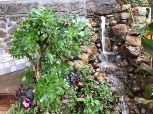 uma cascata numa parede de pedra com plantas e flores em 4REST INN PRIVATE LIMITED em Kodaikanal