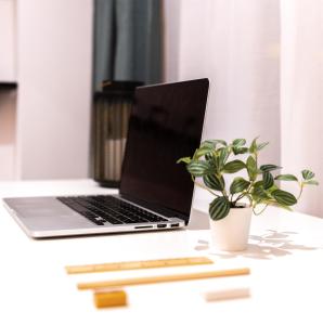 a laptop computer sitting on a desk with a potted plant at Nordik Rooms Urban - Centro "Helsinki" in Málaga