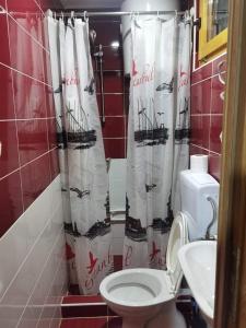 a bathroom with a toilet and a shower curtain at Kamp Bungalovi Sase drvena kuca in Višegrad