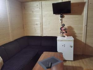 Kamp Bungalovi Sase drvena kuca tesisinde bir televizyon ve/veya eğlence merkezi